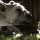 Image for article titled The Week In Games: Hello Bird-Dog My Old Friend